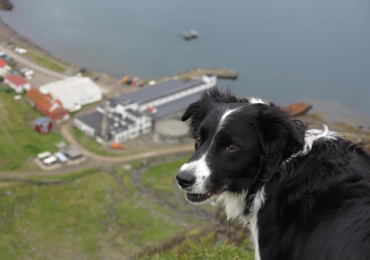 Hótel Djúpavík Exteriér fotografie